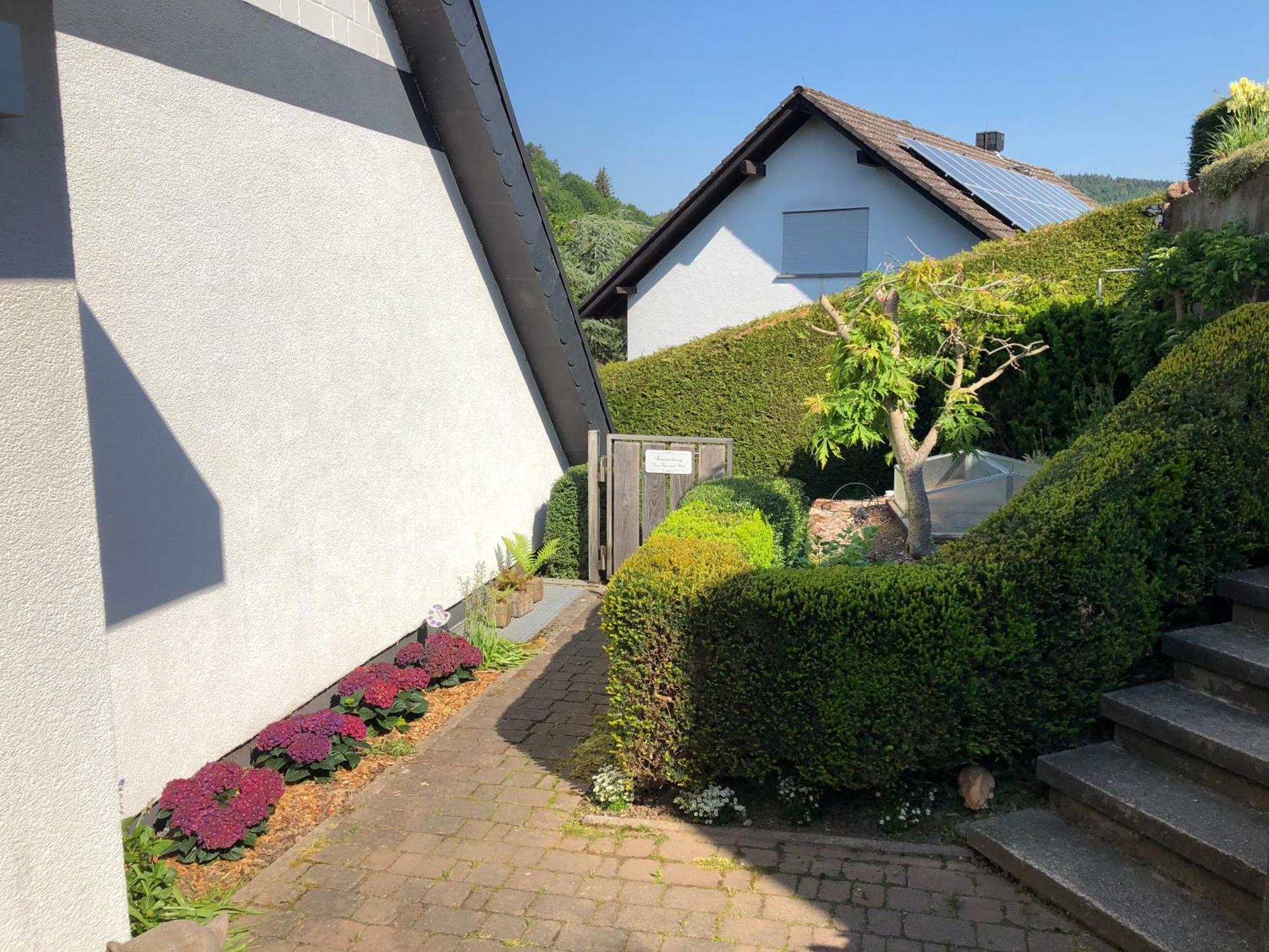 Burg Freienstein Blick 4 Sterne Mit Sauna Gammelsbach Bagian luar foto